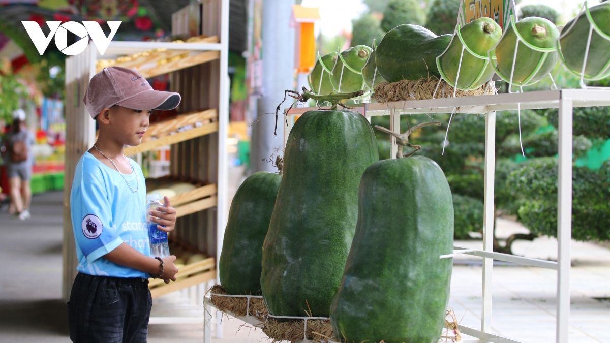Ho Chi Minh City hosts southern fruit festival